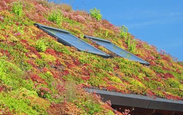 Sutton Mallet living roof systems