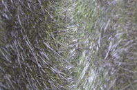 Sutton Mallet fibreglass roof work